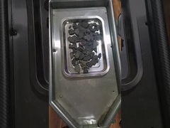 ポリゴナム・マルチ・フロラム粉